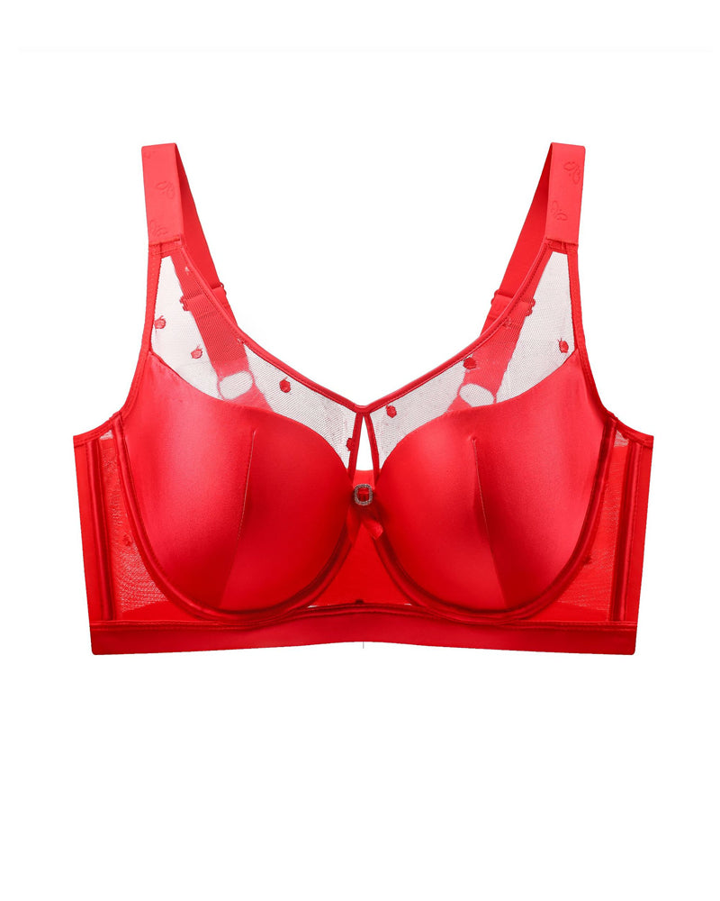 Emilie's Boutique ™ Satin Mesh See-through Patchwork Underwire Plus Size Push-up Bra